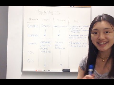 Hormones of the Digestive System - YouTube