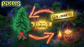PIXELS // MENGHABISKAN 1000 ENERGI PADA POHON TIER 3 UNTUK MENDAPATKAN KOIN... #pixels #web3gaming #crypto #gaming