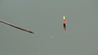 TARIKANNYA MANTAP, STORY WA MANCING