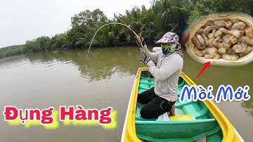 Thử Mồi Câu Mới Nào Ngờ Quá Nhạy Cá Ngát Hốt Luôn Cả Ổ