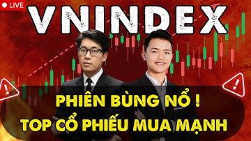 VNINDEX Tăng Mạnh: Danh Sách Cổ Phiếu Đáng Mua Ngay Hôm Nay