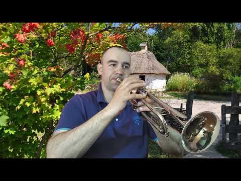 Одна калина за вікном Музика Руслана Квінти Trumpet Cover
