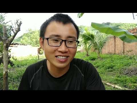 #55 | Kinh Nghiệm Bán Heo Nái Thải Không Bị Hố