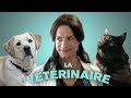 La vétérinaire