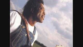 Buddy Guy - Feels Like Rain - 07 - Change In The Weather