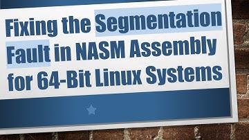 Fixing the Segmentation Fault in NASM Assembly for 64-Bit Linux Systems