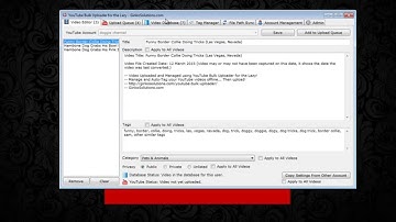 YouTube Bulk Uploader - File Path Sync (Video Management System)