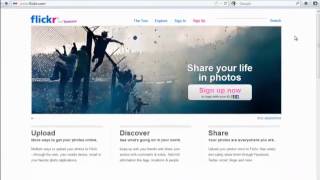 Google and Flickr Image Search