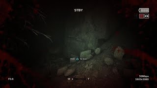 Outlast 2