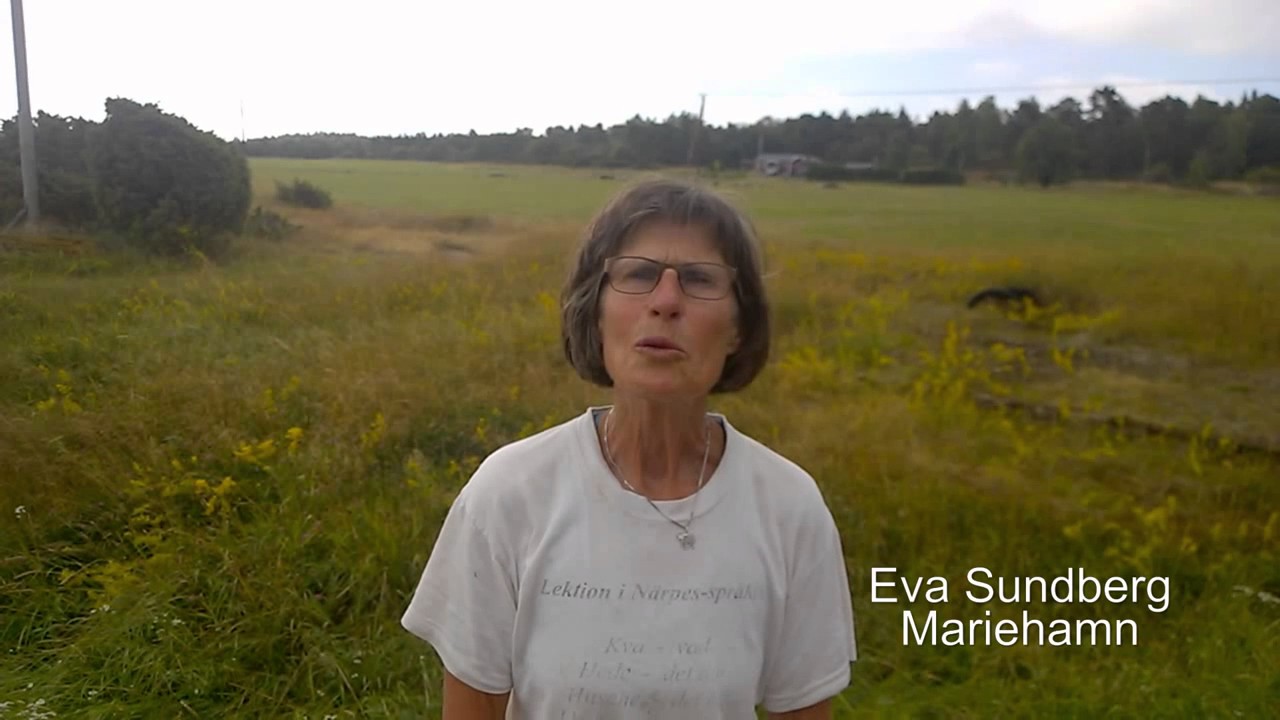 Dialekter i Svenskfinland