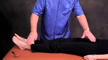 2 Crossed Extensor Reflex V3