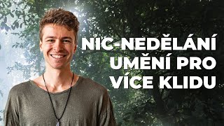 Umění Nic-Nedělání: Jak najít klid a pohodu v každodennosti (Vít Aora)