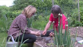 Hortus Focus, le Vivant d'abord