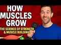 "How Muscles Grow: The Science of Strength & Muscle Building!"