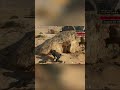 Stealth Mission: Infiltrate Death Trooper HQ for Keycard! #shorts
