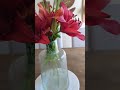 Flower to bouquet 💐 ✨️