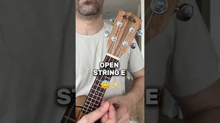 The E Chord Cheat Code Nobody Asked For 😂