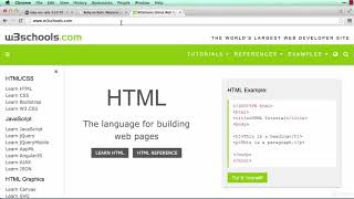 047 Learn and practice HTML   Homework Assignment