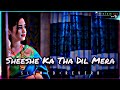 Sheeshe ka tha dil mera slowedreverb sad lofi song habib001