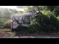 Clearing Overgrowth For Homeowner Using Forestry Mulcher
