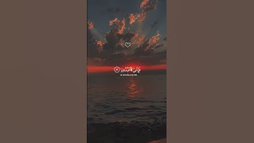 سورة العنكبوت الاية 56 #القرآن_الكريم #قرآن #quran #راحة_نفسية #viralvideo  #اكسبلور #explore #لايك