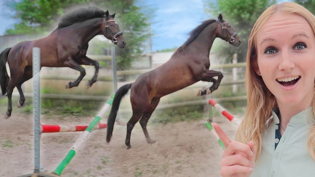 VOOR HET EERST VRIJSPRINGEN MET MIJN blinde PAARD! 😬 - Vlog #97 | Daphne draaft door