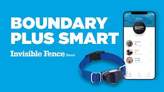 Boundary Plus® Smart System | Invisible Fence® Brand