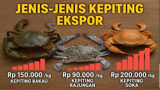 🔴 Inilah 3 Jenis Kepiting Ekspor Terlaris dari Indonesia | Peluang Usaha Ekspor Laut.