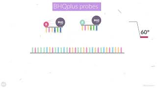 Detect more difficult targets with BHQplus Probes