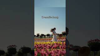 Temple of Love ❤️ - Lovers Rock Reggae #newmusic2026 #shorts