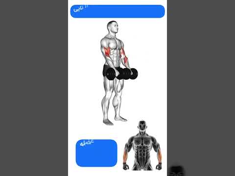 ساعدهای رگدار میخوای ۵حرکت برای فولادکردن تقویت مچ و ساعد