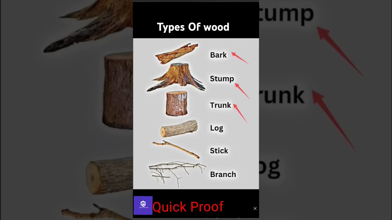 Types of wood | bark, stump, trunk, log, stick, branch 