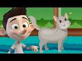Sevimli Kedi Şarkısı 🐱 Miyav Miyav Kedi Videoları