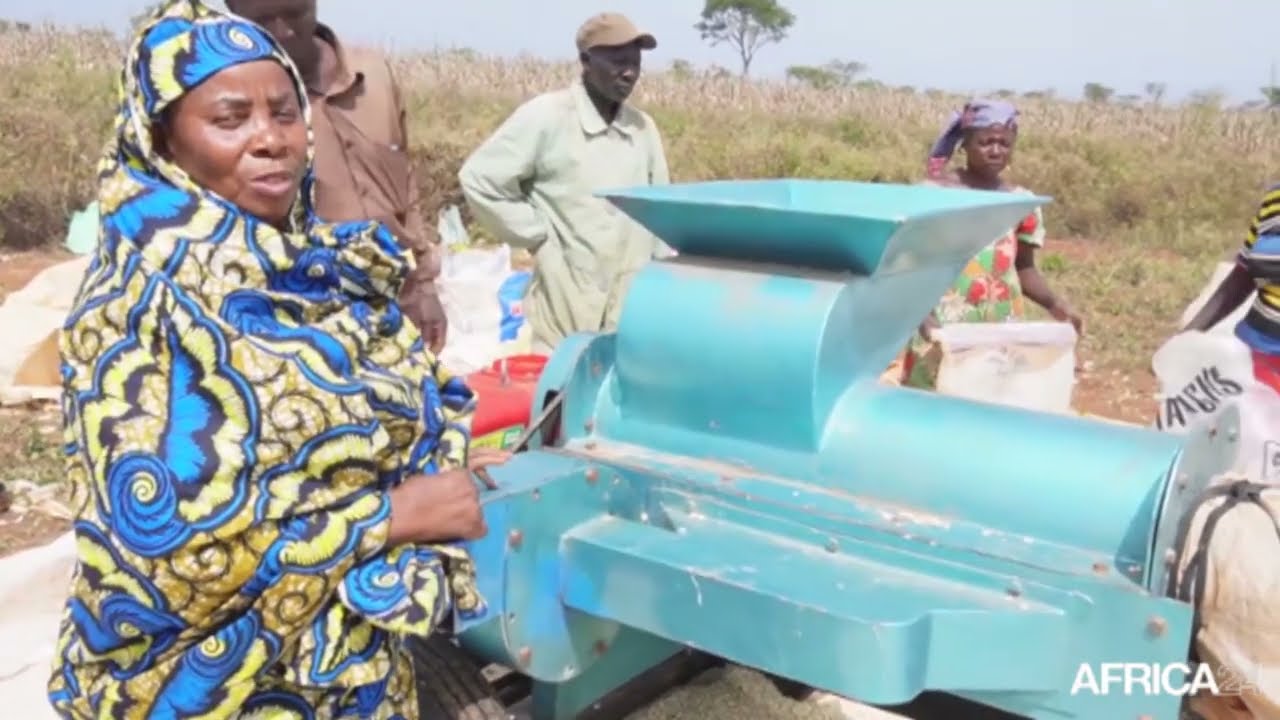 Reportage - Cameroun : 2500 tonnes de céréales produites par les femmes dans l'Adamaoua