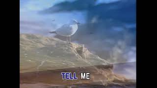 Always On My Mind - Video Karaoke Nan Hsing