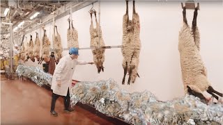 Cómo cosechar lana  Increíble fábrica de ovejas  Molino de procesamiento de lana