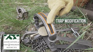Modified Traps for Trapping