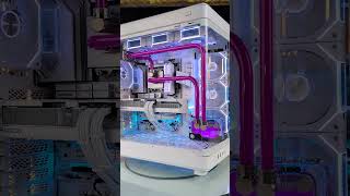 Famous Performance or Aesthetics? - What’s the most important part? Net Worth