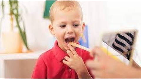 Receptive Identification in ASD Children (Speech Therapy)