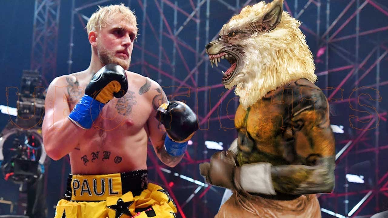 Wolves With Jake Jake Paul vs Wolf Match UFC Fights - YouTube