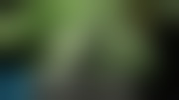 High Tech: Inside a Cannabis Testing Lab