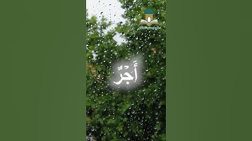 #تلاوة_هادئة تريح النفس #قرآن #قران_كريم #تلاوات #تلاوة #تلاوة_خاشعة #تلاوات_خاشعة #تلاوة_مميزة