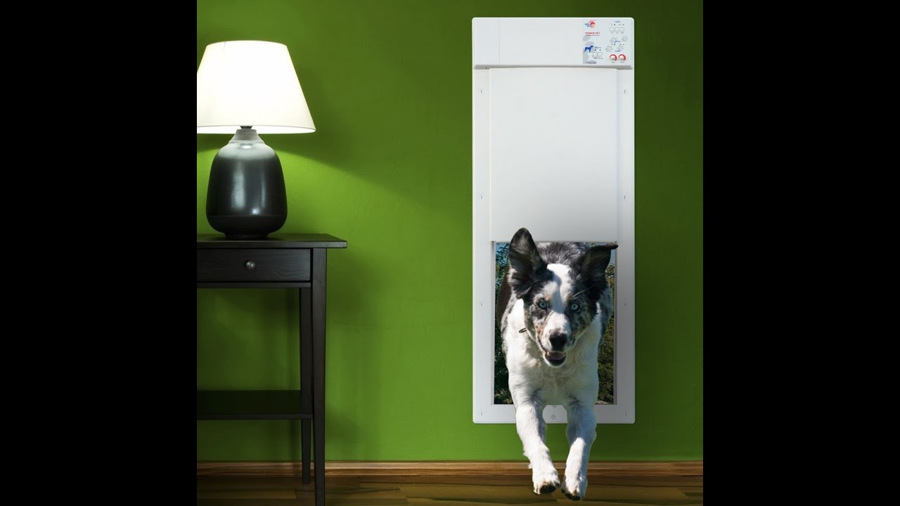 Best Electronic Dog Door 2015 Youtube