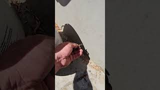 removing a stowaway with minimal force.#spinx stowaway.