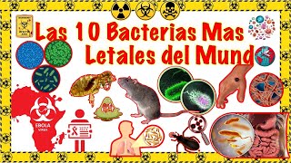 💢⚠️❌ THE 10 MOST DEADLY BACTERIA IN THE WORLD 🌎