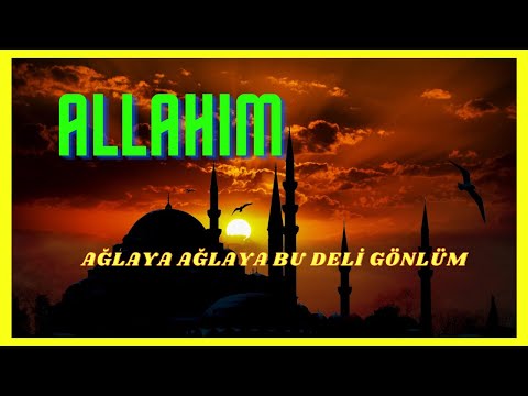 Ağlaya Ağlaya Bu Deli Gönlüm - Müziksiz İlahi / Ömer Faruk Demirbaş