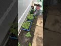 Done all I can today