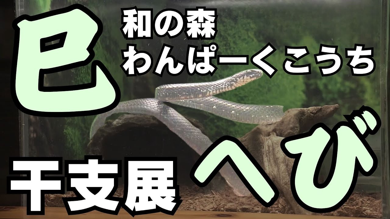 杜MORI様 リクエスト 2点 まとめ商品 ルーナ様 リクエスト 2点 まとめ 