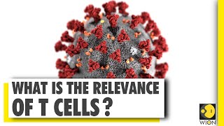 How Coronavirus impacts our immunity? COVID-19 brief