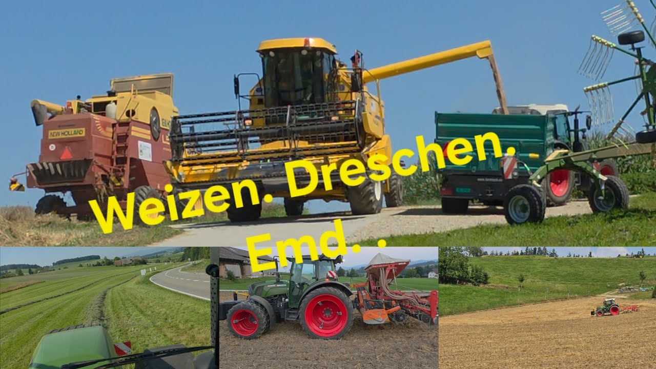 Lüfter. Ernte 2025. 